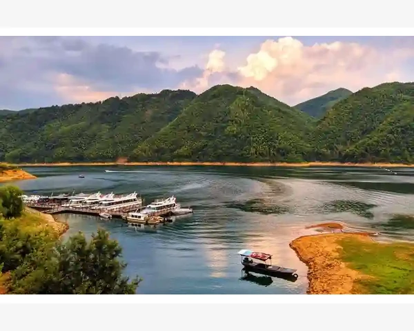 肝气血不足引发的症状——呵护肝脏，守护健康之门